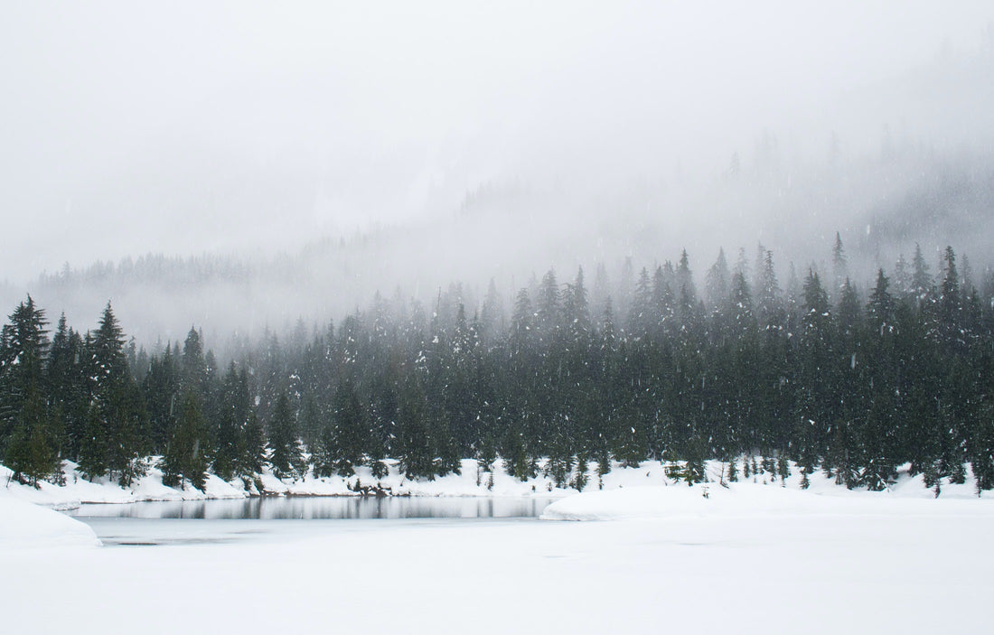 Essential Winter Handcare Routine