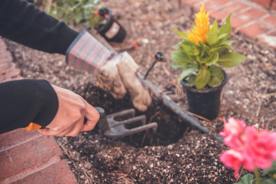 Hand Care for Gardeners: Keeping Your Skin and Nails Beautiful