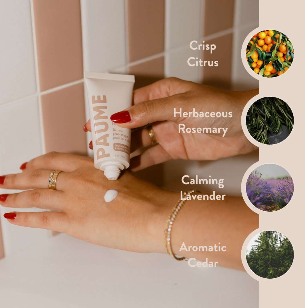 Hand & Foot Essentials Set